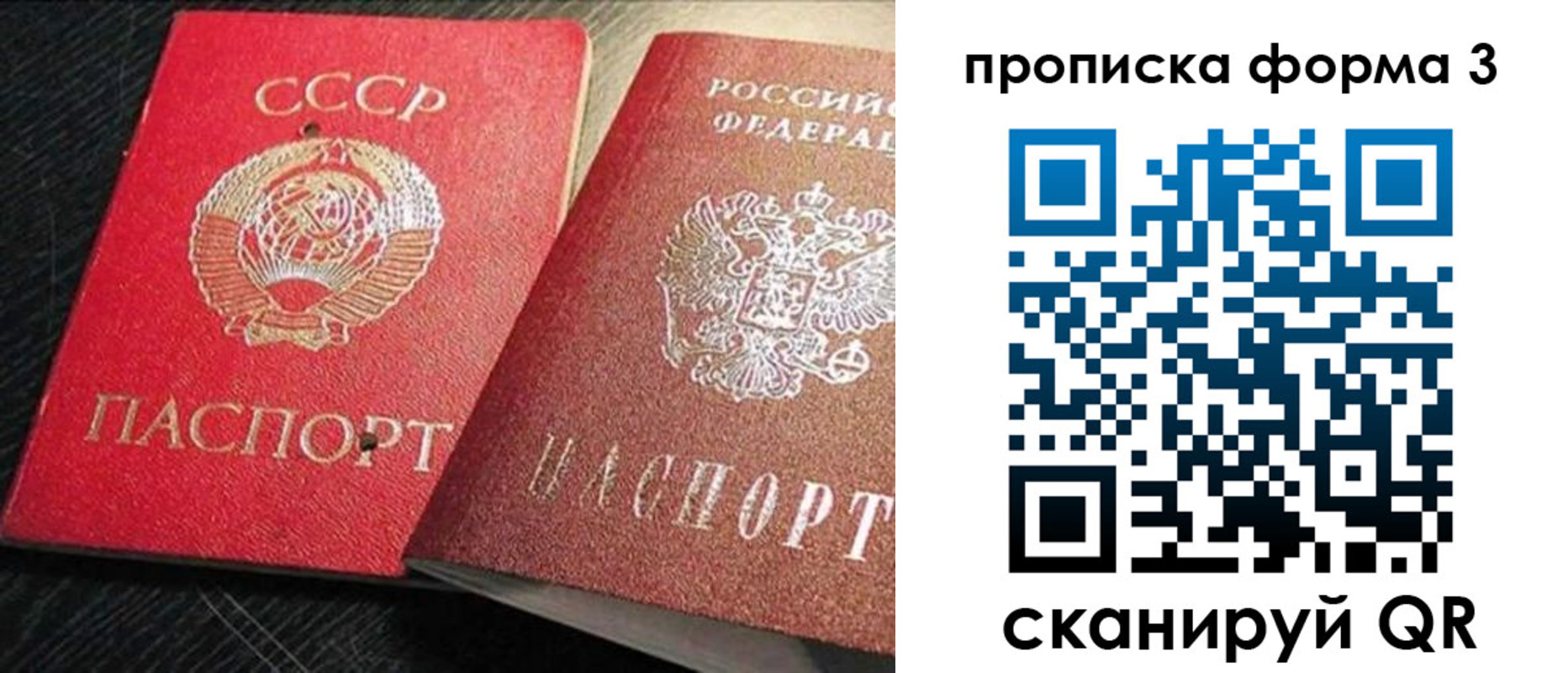 временная регистрация поиск в Кингисеппе